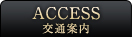 ACCESS ʈē